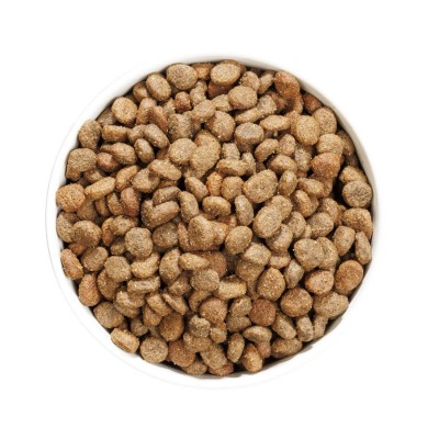 Dog Hypoallergenic Grain Free Adult Mini Agnello per Cani