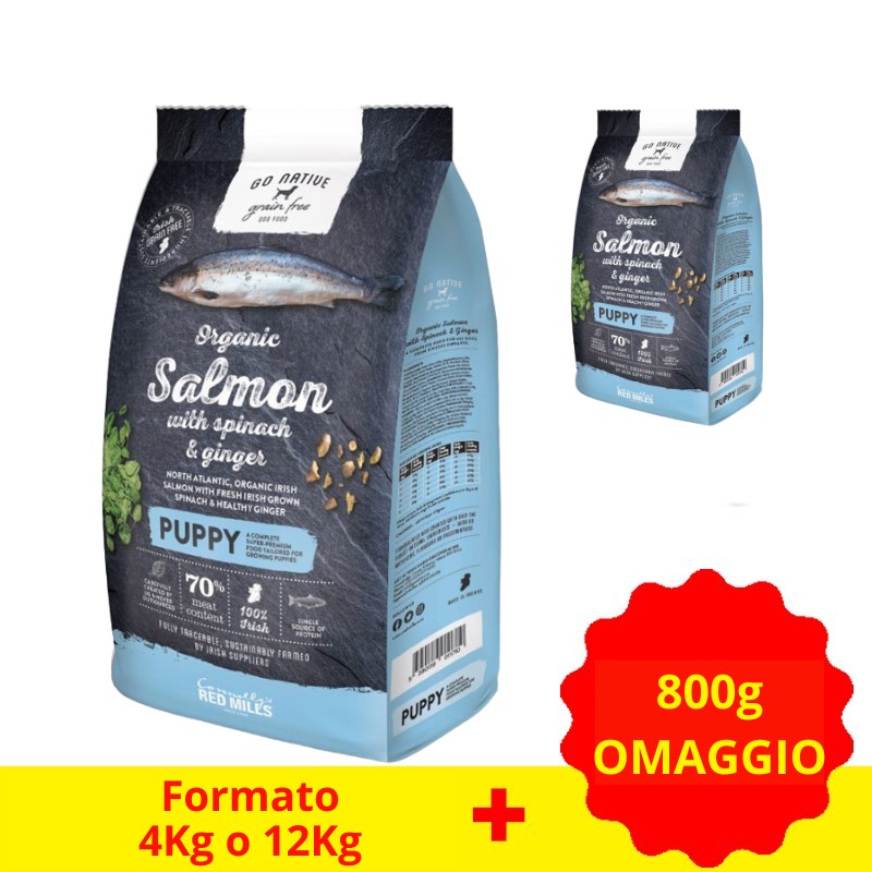 Go Native Puppy Salmone Biologico, Spinaci e Zenzero