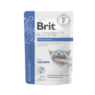 Brit Care Diet Recovery per Gatti