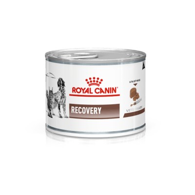 Royal Canin V-Diet Recovery per Cani e Gatti 195 g