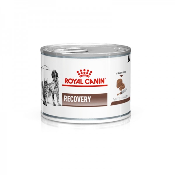 Royal Canin V-Diet Recovery per Cani e Gatti 195 g