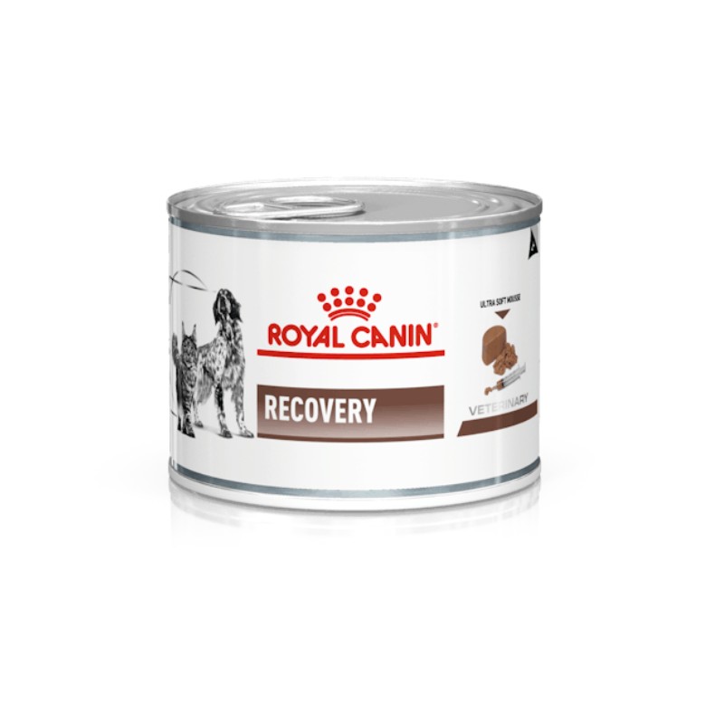 Image of Royal Canin V-Diet Recovery per Cani e Gatti062