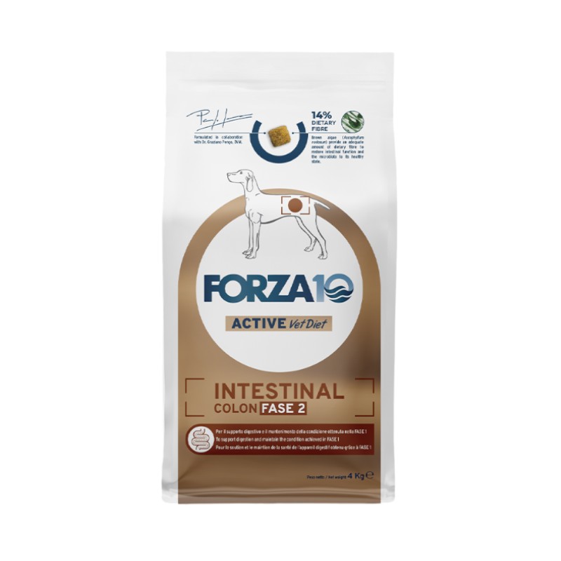 Forza10 Intestinal Colon Fase 2