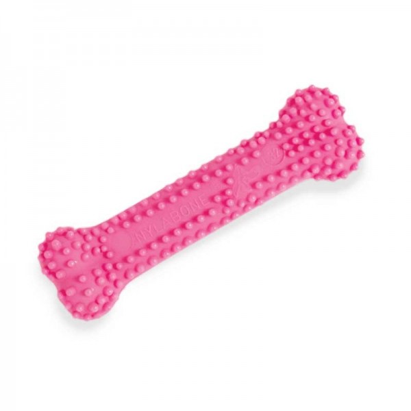 Nylabone Puppybone Dental Rosa