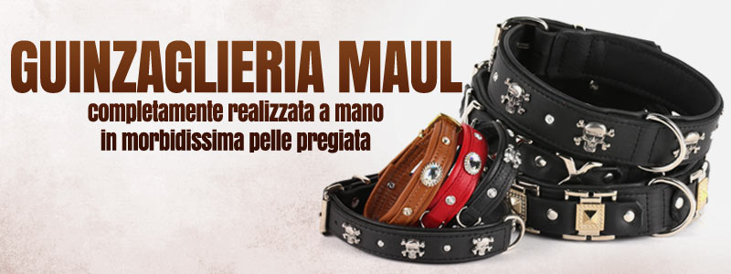 COLLARI IN MORBIDISSIMA PELLE cover