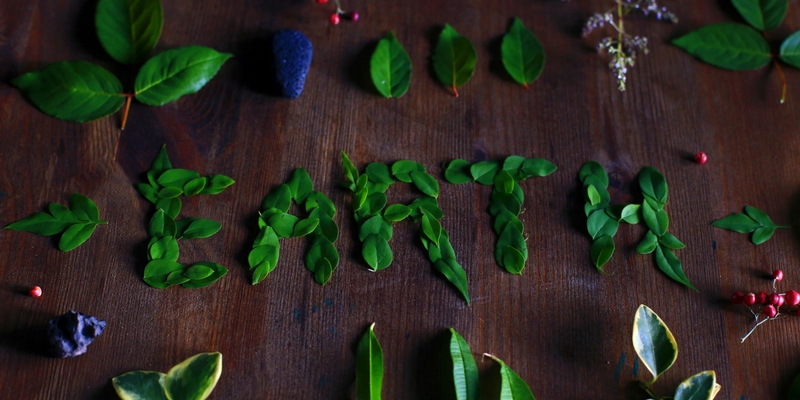 Ingredienti naturali e sostenibilità ambientale? Bio, logico! cover