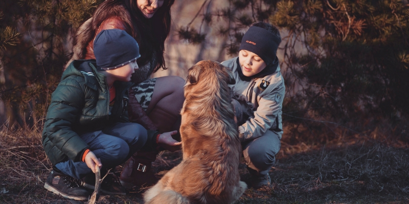 Separazione? Assegno mensile anche per il cane cover