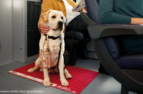 Italo, a luglio e agosto anche i cani di taglia grande viaggiano gratis thumb