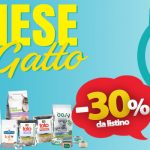 offerte-mese-dicembre-riccione