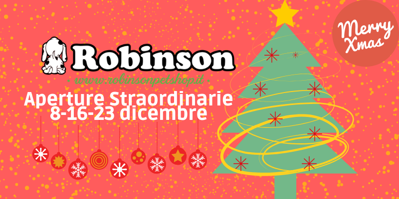 Dicembre, mese di aperture straordinarie da Robinson! cover