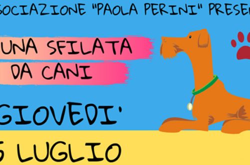 AL Cala Fo.Ma. i cani sfilano per beneficenza con l’Associazione Paola Perini thumb