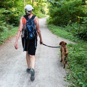 passeggiata-con-il-cane